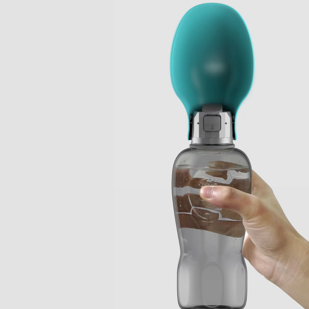 Gourde Compagnon XL tenue à l’envers sans fuite d’eau.