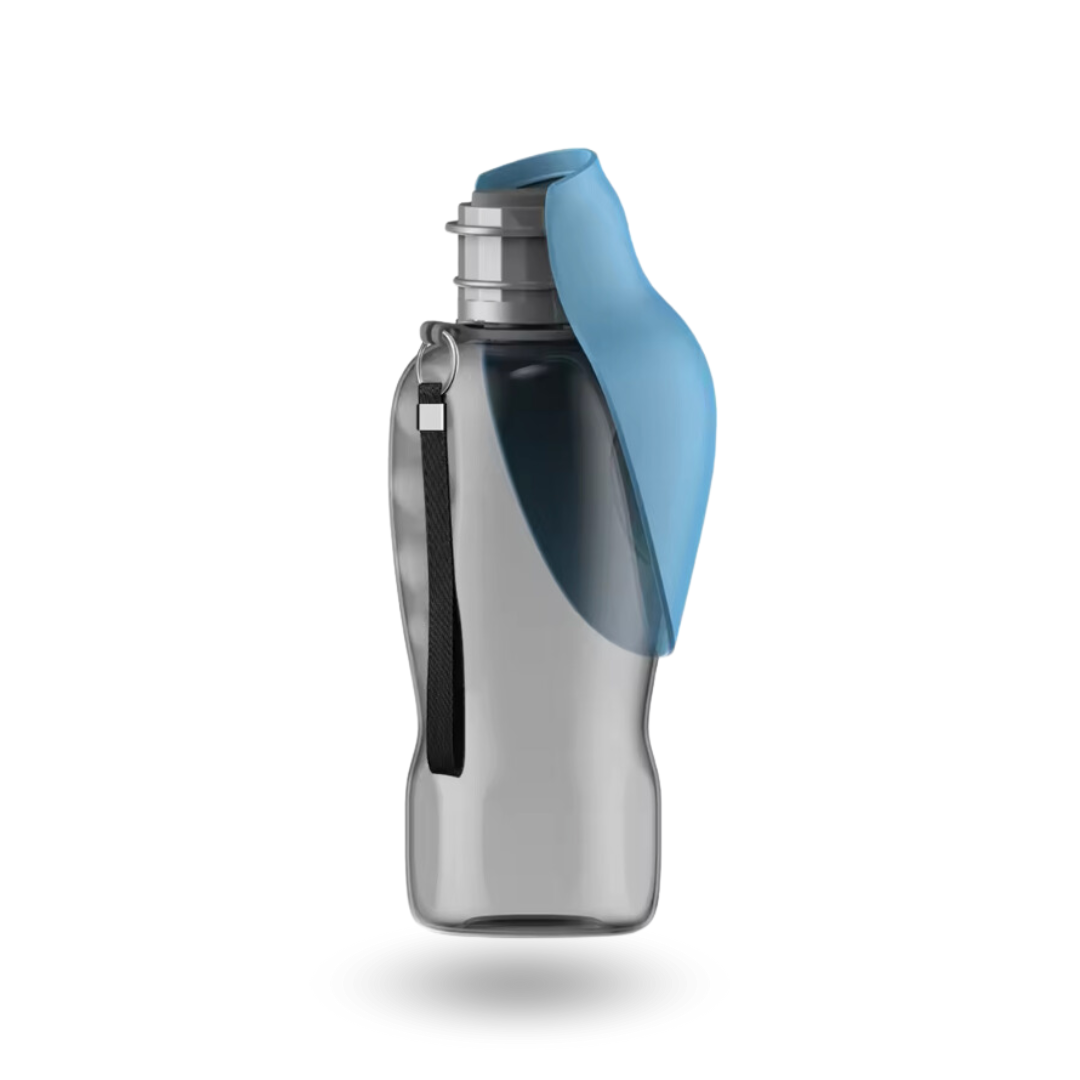 Modèle Compagnon XL en coloris azur, conçu pour hydrater les chiens en déplacement.