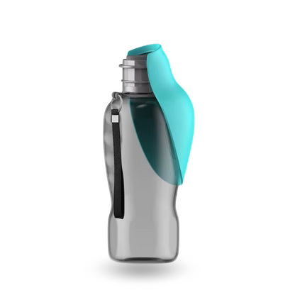 Compagnon XL coloris bleu pour chien, solution pratique d'hydratation en balade.