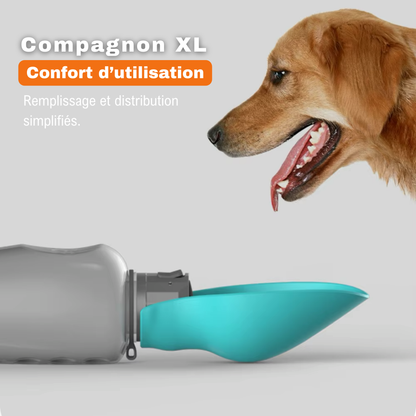 Chien s’abreuvant facilement dans la gourde Compagnon XL, conçue pour un remplissage simple et rapide.